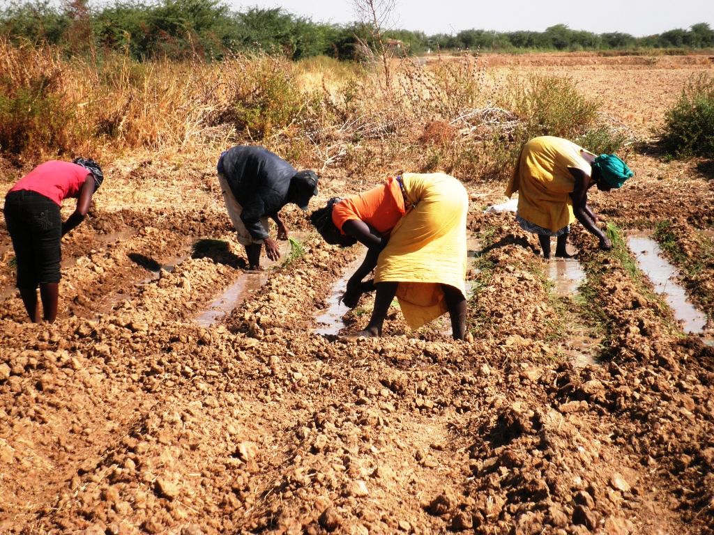 Réaliser des programmes communautaires